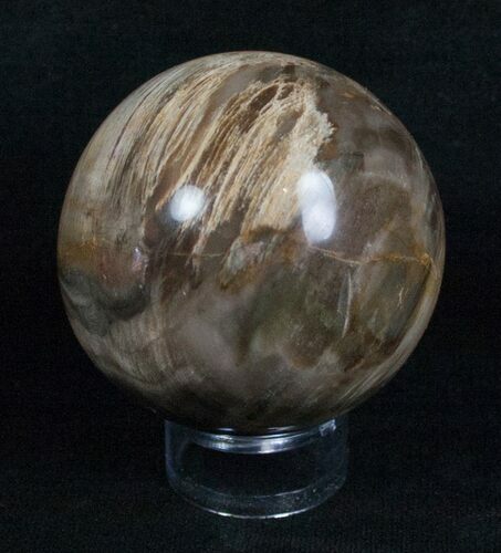 Inch Petrified Wood Sphere #4030